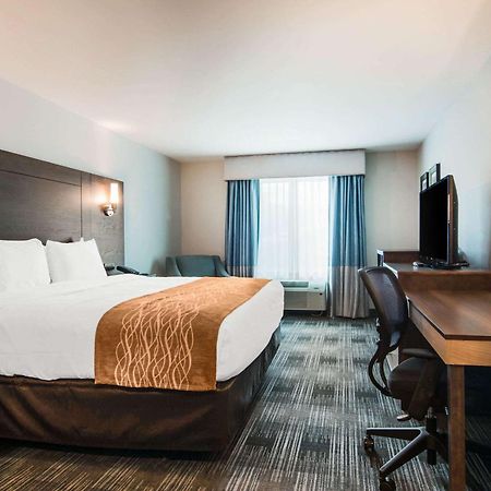 Comfort Inn & Suites East Эллиджей Экстерьер фото