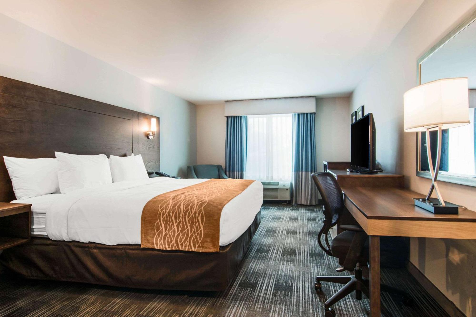 Comfort Inn & Suites East Эллиджей Экстерьер фото