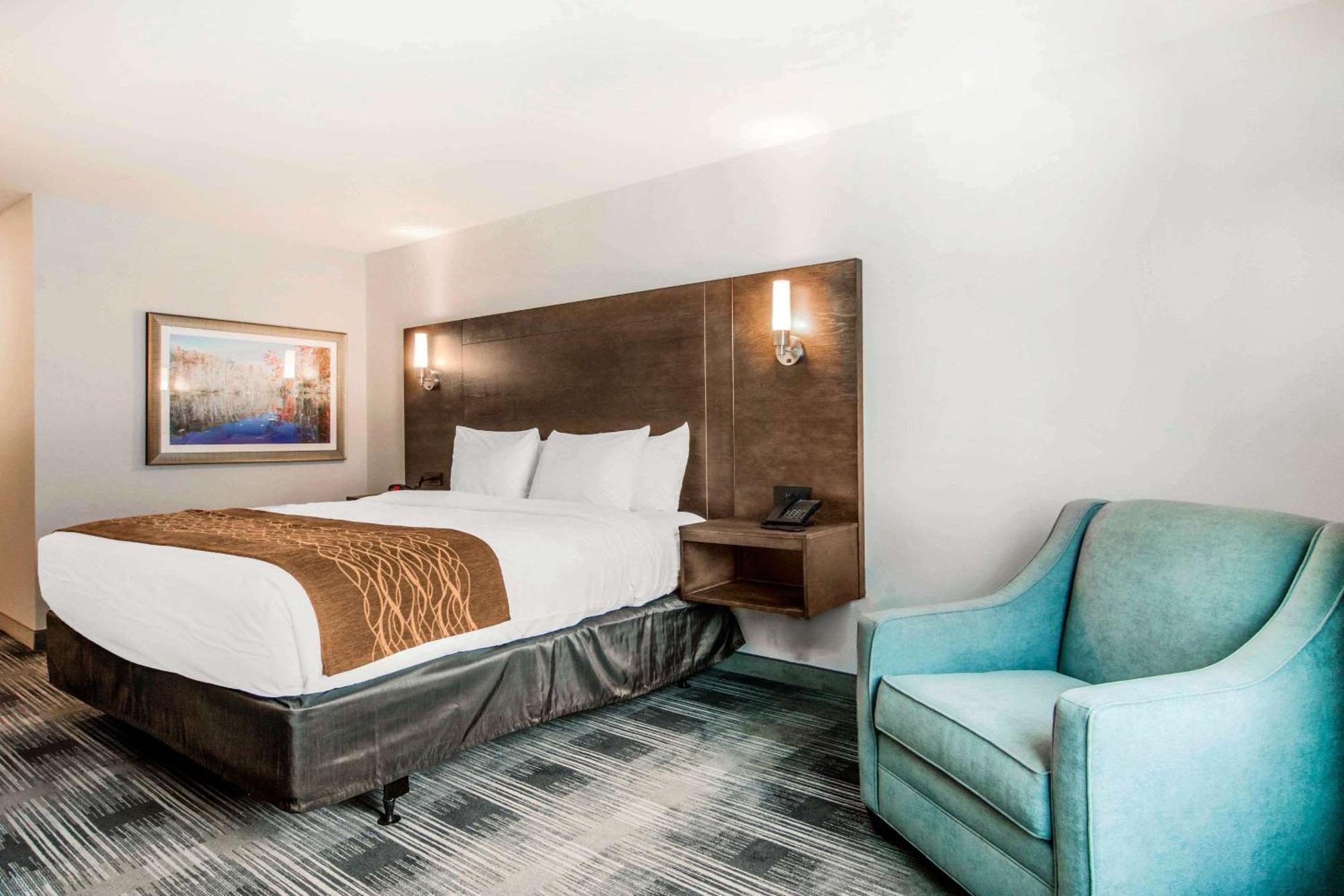 Comfort Inn & Suites East Эллиджей Экстерьер фото
