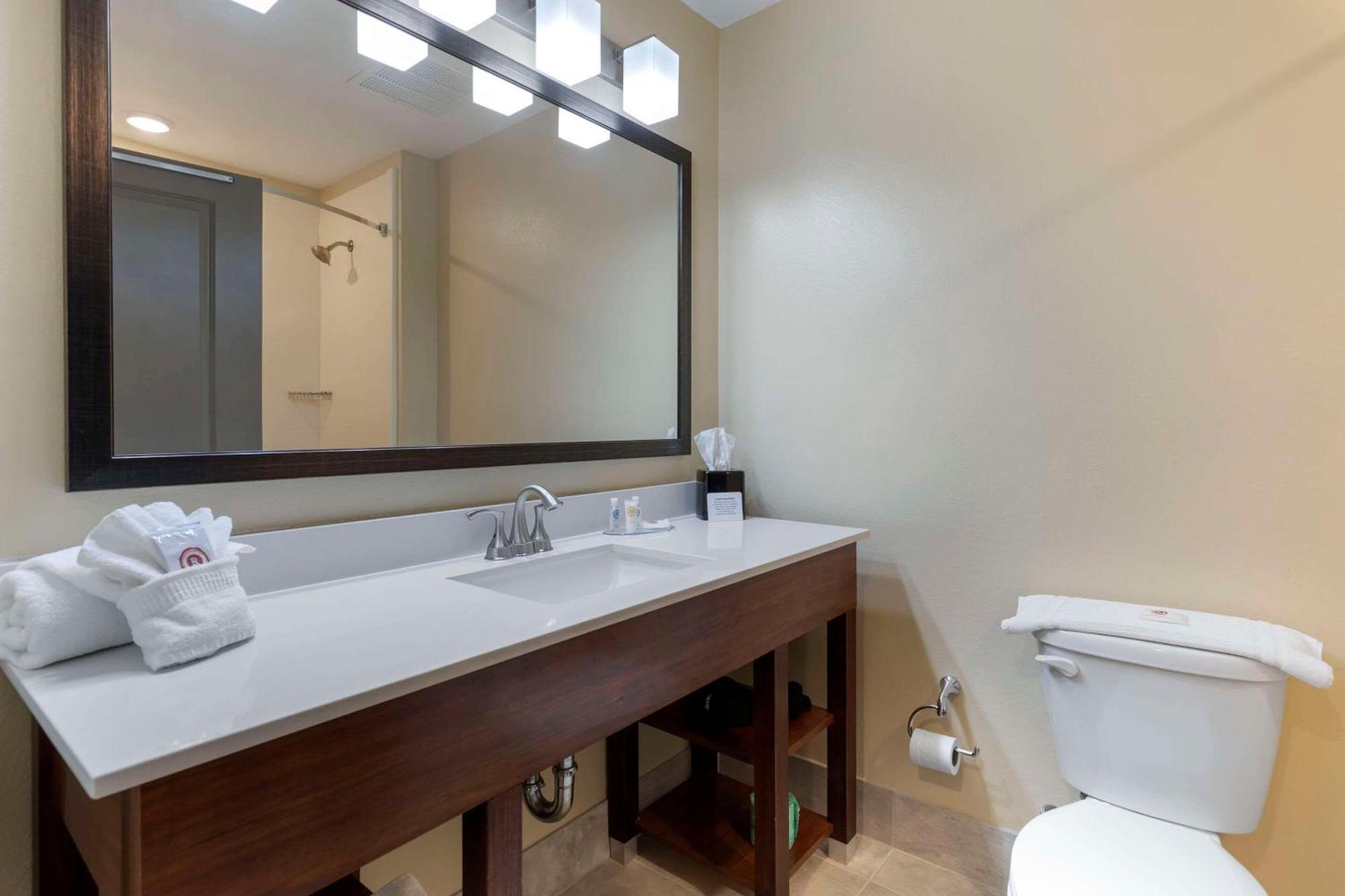 Comfort Inn & Suites East Эллиджей Экстерьер фото