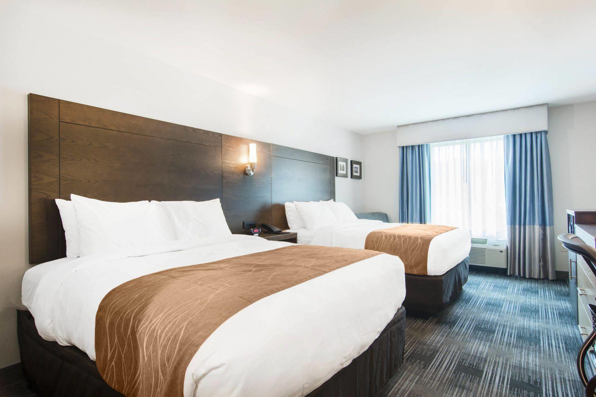 Comfort Inn & Suites East Эллиджей Экстерьер фото