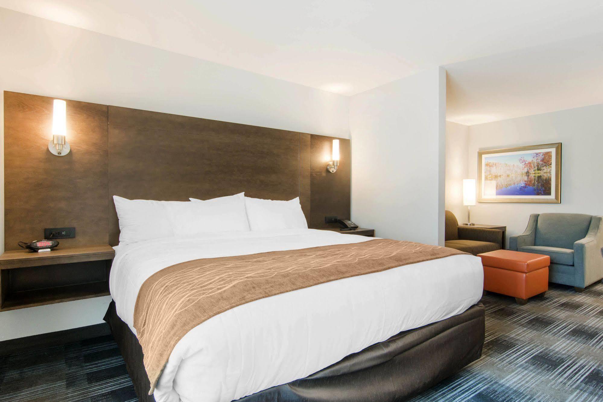 Comfort Inn & Suites East Эллиджей Экстерьер фото